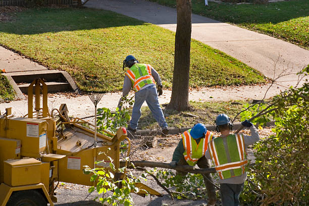 Best Seasonal Cleanup (Spring/Fall)  in Newark, NJ